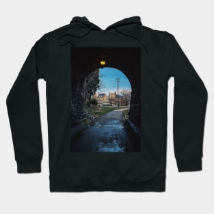 Alexandria Virginia Hoodie